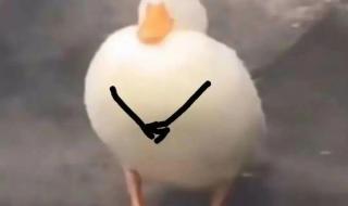 一生中最爱谐音 一生中最爱谐音