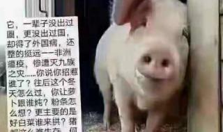 师傅大师兄说的对啊 师傅大师兄说的对啊