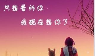 太想念原唱完整版 太想念原唱完整版